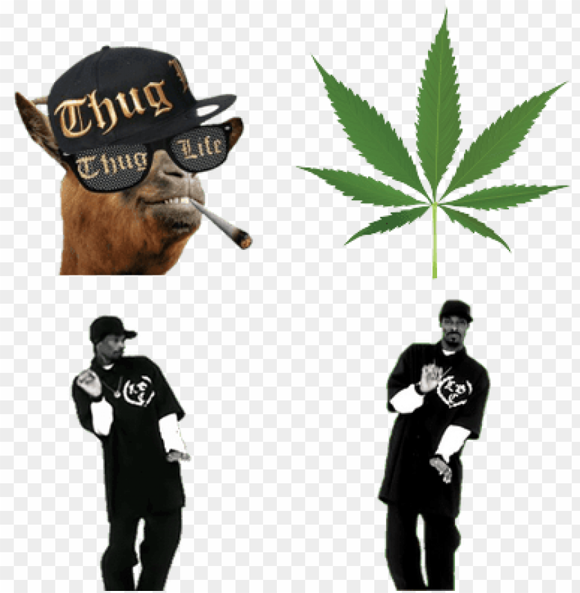 Thug Life Background