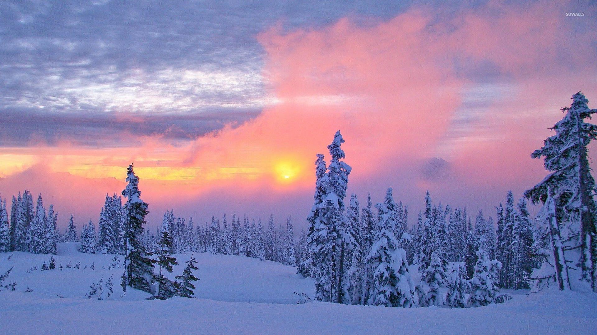 Tundra Backgrounds