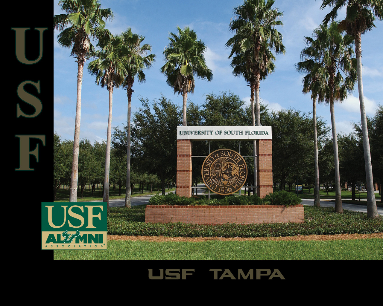 Usf Backgrounds