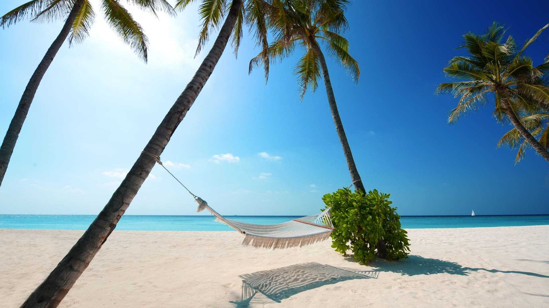 Wallpaper Beach Background