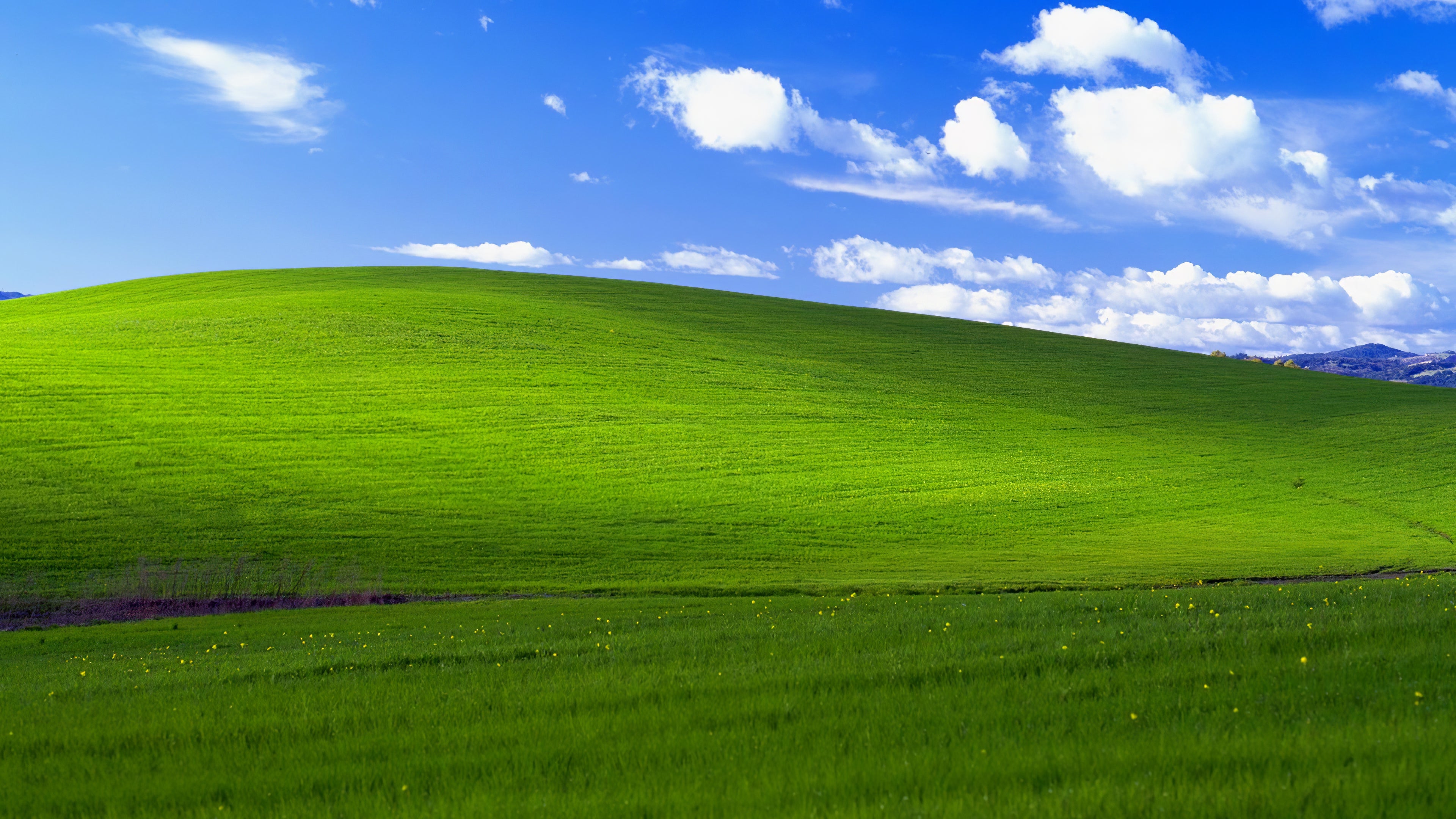 Windows Xp Background