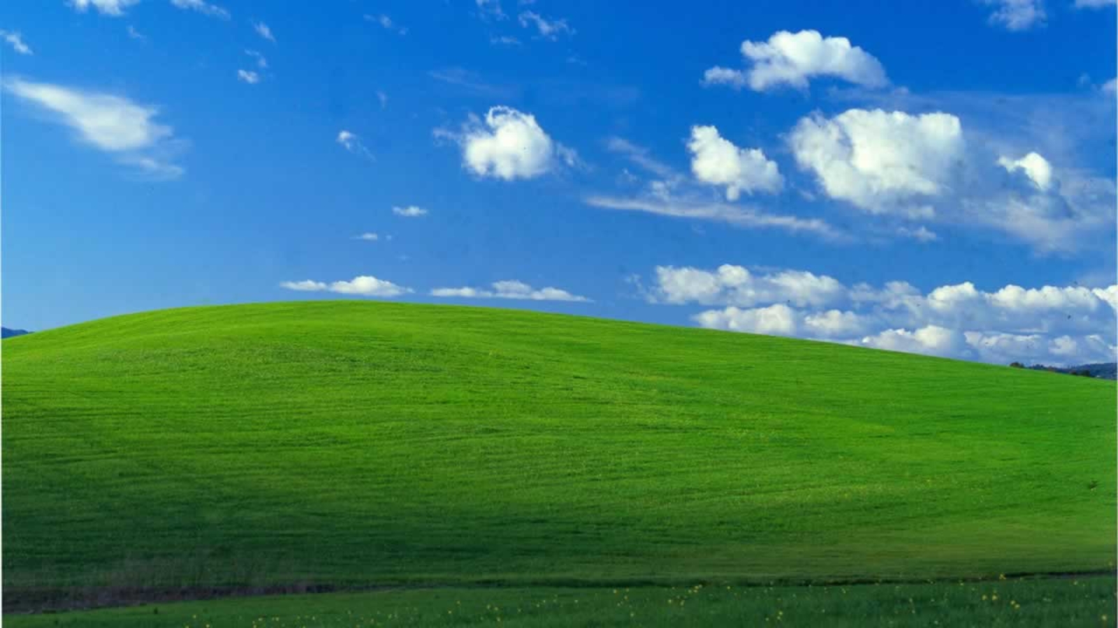 Windows Xp Background