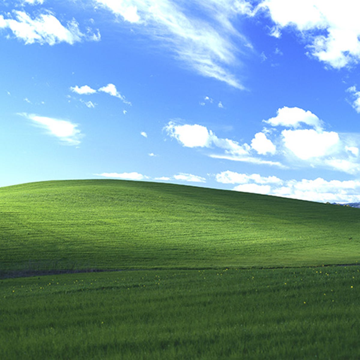 Windows Xp Background