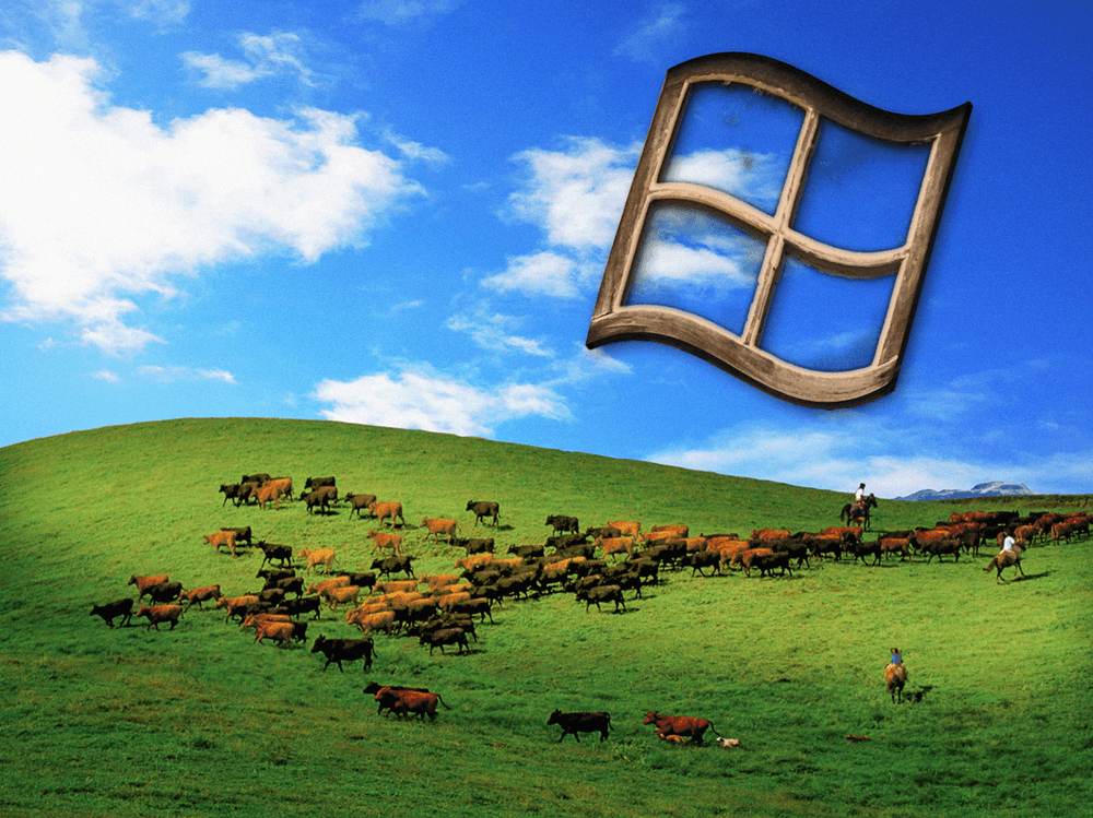 Windows Xp Background