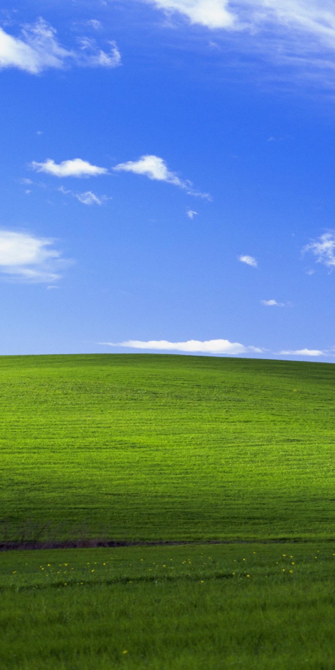 Windows Xp Background